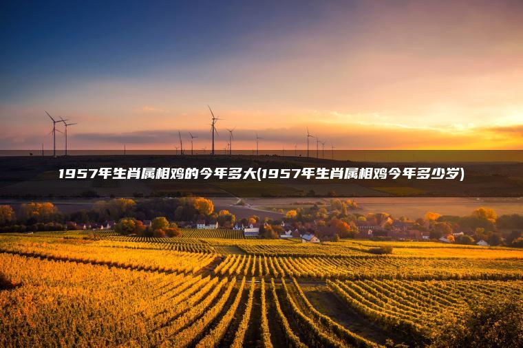 1957年生肖属相鸡的今年多大(1957年生肖属相鸡今年多少岁)