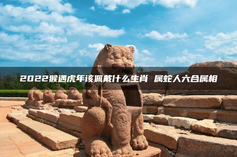 2022猴遇虎年该佩戴什么生肖 属蛇人六合属相