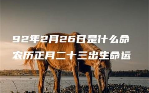 92年2月26日是什么命 农历正月二十三出生命运