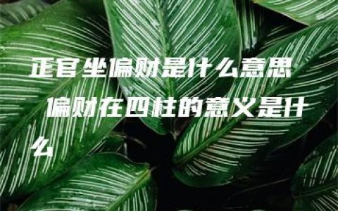 正官坐偏财是什么意思  偏财在四柱的意义是什么