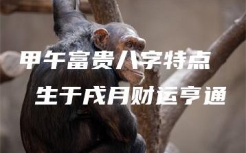 甲午富贵八字特点  生于戌月财运亨通