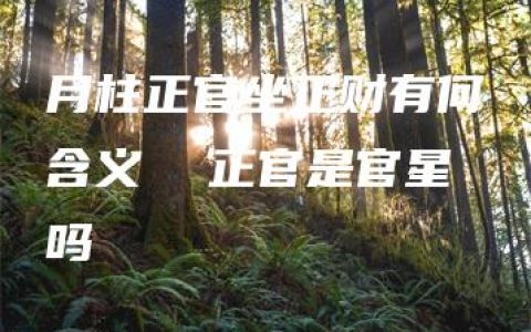 月柱正官坐正财有何含义  正官是官星吗