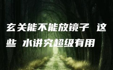 玄关能不能放镜子 这些風水讲究超级有用