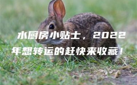 風水厨房小贴士，2022年想转运的赶快来收藏！