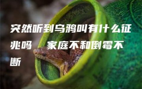 突然听到乌鸦叫有什么征兆吗  家庭不和倒霉不断