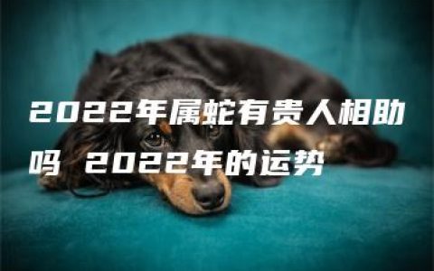 2022年属蛇有贵人相助吗 2022年的运势