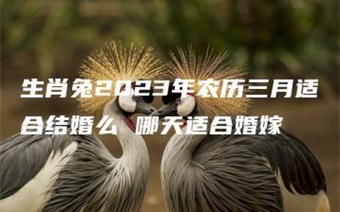 生肖兔2023年农历三月适合结婚么 哪天适合婚嫁