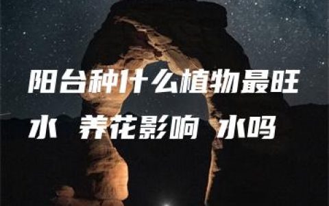 阳台种什么植物最旺風水 养花影响風水吗