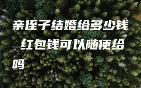 亲侄子结婚给多少钱 红包钱可以随便给吗