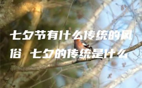 七夕节有什么传统的风俗 七夕的传统是什么