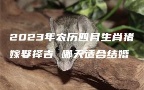 2023年农历四月生肖猪嫁娶择吉 哪天适合结婚