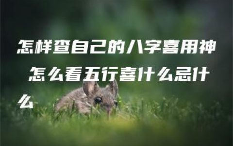 怎样查自己的八字喜用神 怎么看五行喜什么忌什么