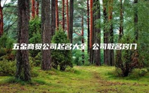 五金商贸公司起名大全 公司取名窍门