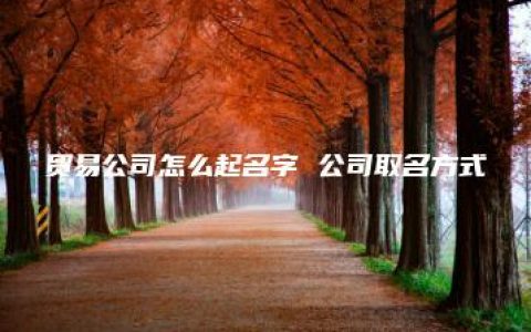 贸易公司怎么起名字 公司取名方式