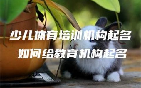 少儿体育培训机构起名 如何给教育机构起名