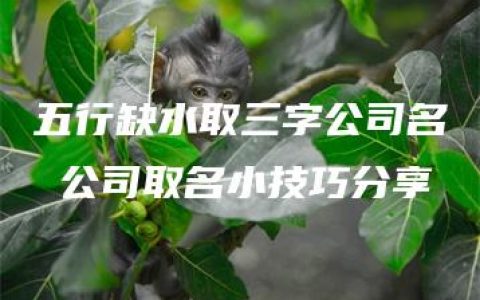 五行缺水取三字公司名 公司取名小技巧分享