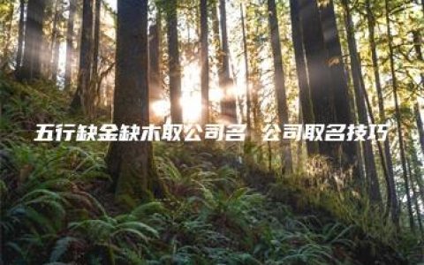 五行缺金缺木取公司名 公司取名技巧