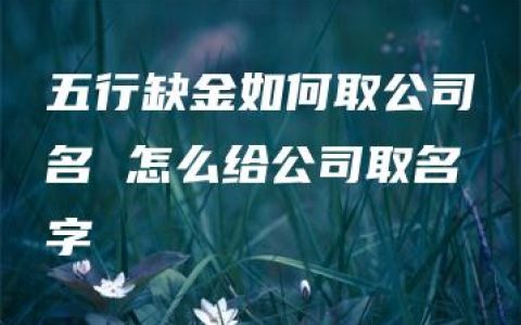 五行缺金如何取公司名 怎么给公司取名字