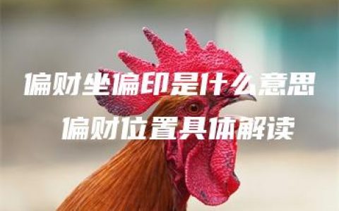 偏财坐偏印是什么意思  偏财位置具体解读