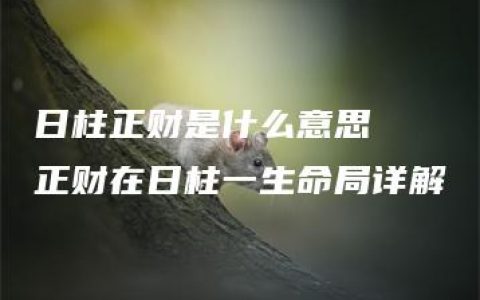 日柱正财是什么意思  正财在日柱一生命局详解