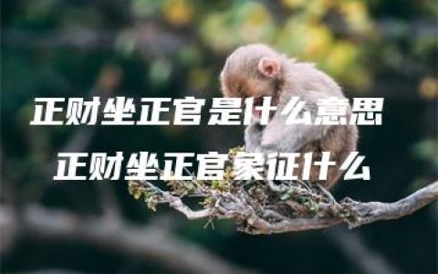 正财坐正官是什么意思  正财坐正官象征什么