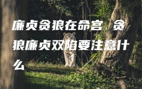 廉贞贪狼在命宫 贪狼廉贞双陷要注意什么