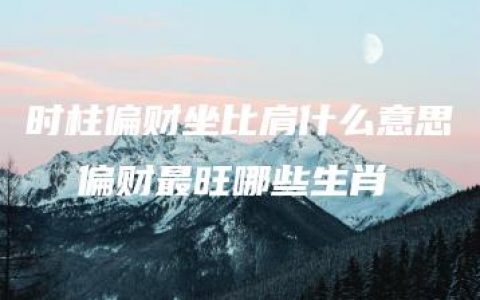 时柱偏财坐比肩什么意思  偏财最旺哪些生肖