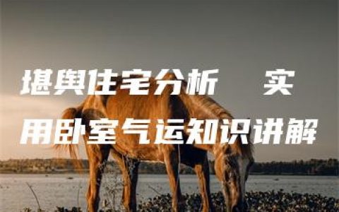 堪舆住宅分析  实用卧室气运知识讲解