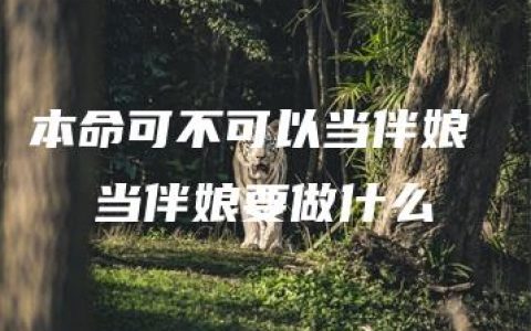 本命可不可以当伴娘   当伴娘要做什么