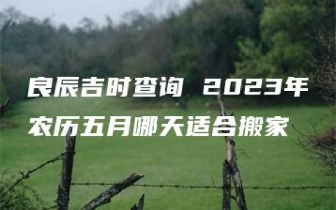 良辰吉时查询 2023年农历五月哪天适合搬家