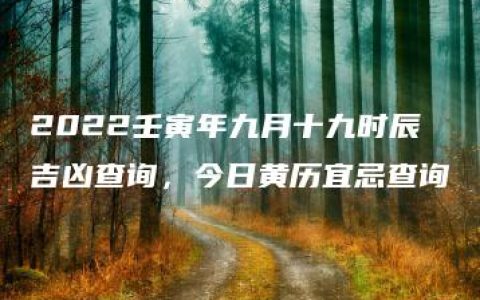 2022壬寅年九月十九时辰吉凶查询，今日黄历宜忌查询