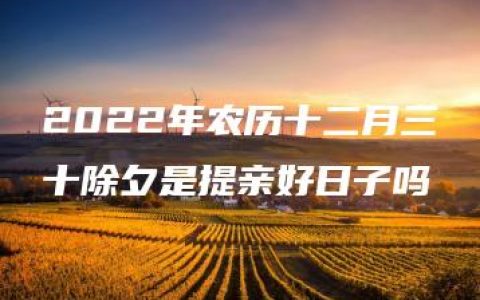 2022年农历十二月三十除夕是提亲好日子吗