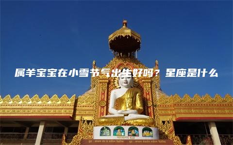 属羊宝宝在小雪节气出生好吗？星座是什么