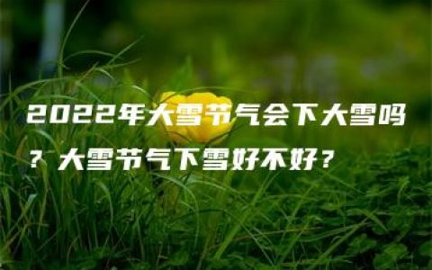 2022年大雪节气会下大雪吗？大雪节气下雪好不好？