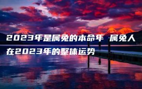 2023年是属兔的本命年 属兔人在2023年的整体运势