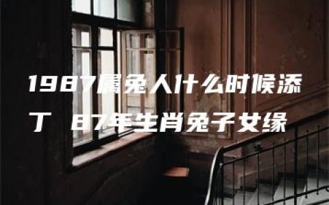 1987属兔人什么时候添丁 87年生肖兔子女缘