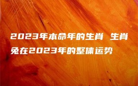 2023年本命年的生肖 生肖兔在2023年的整体运势