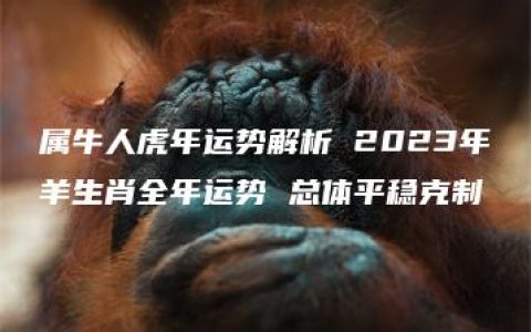 属牛人虎年运势解析 2023年羊生肖全年运势 总体平稳克制