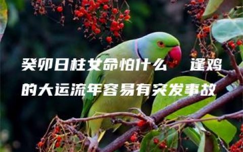 癸卯日柱女命怕什么  逢鸡的大运流年容易有突发事故