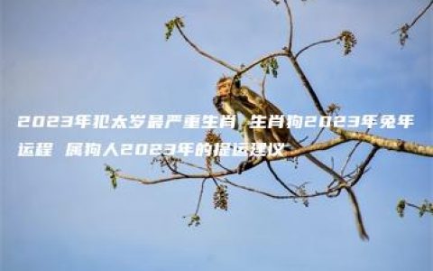 2023年犯太岁最严重生肖 生肖狗2023年兔年运程 属狗人2023年的提运建议