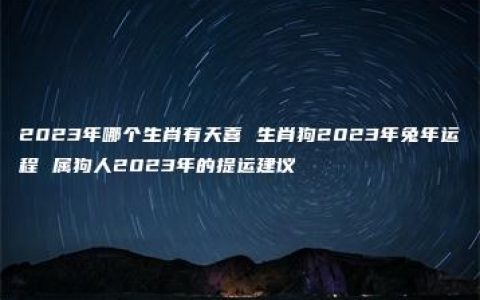 2023年哪个生肖有天喜 生肖狗2023年兔年运程 属狗人2023年的提运建议