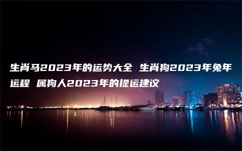 生肖马2023年的运势大全 生肖狗2023年兔年运程 属狗人2023年的提运建议