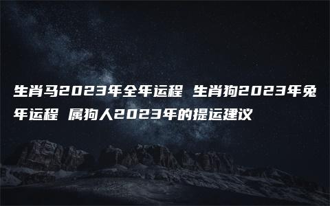 生肖马2023年全年运程 生肖狗2023年兔年运程 属狗人2023年的提运建议