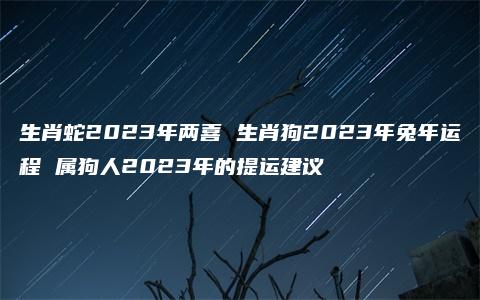 生肖蛇2023年两喜 生肖狗2023年兔年运程 属狗人2023年的提运建议