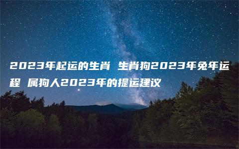 2023年起运的生肖 生肖狗2023年兔年运程 属狗人2023年的提运建议