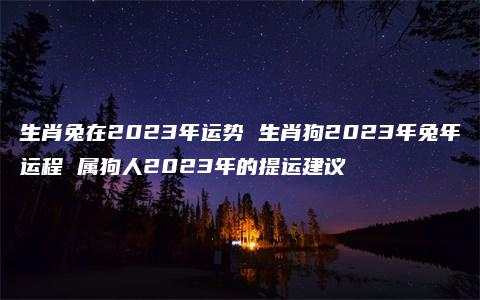 生肖兔在2023年运势 生肖狗2023年兔年运程 属狗人2023年的提运建议