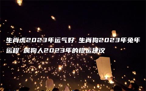 生肖虎2023年运气好 生肖狗2023年兔年运程 属狗人2023年的提运建议