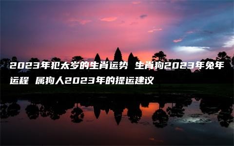 2023年犯太岁的生肖运势 生肖狗2023年兔年运程 属狗人2023年的提运建议