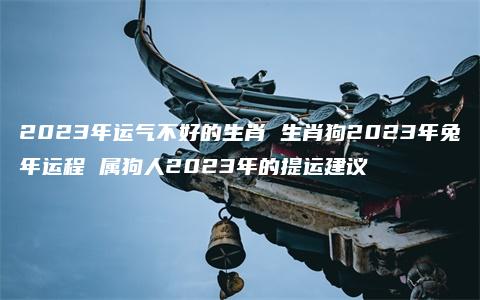 2023年运气不好的生肖 生肖狗2023年兔年运程 属狗人2023年的提运建议