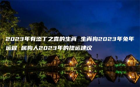 2023年有添丁之喜的生肖 生肖狗2023年兔年运程 属狗人2023年的提运建议